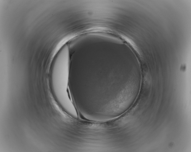 X0000091461418200709061747