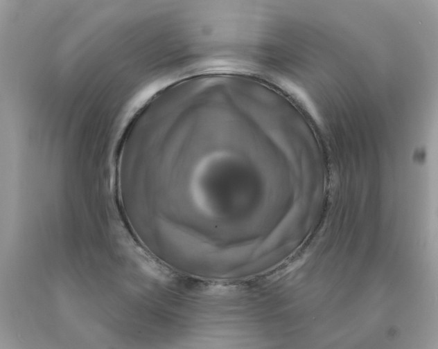 X0000091461419200709061747