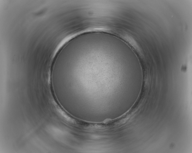 X0000091461420200709061747