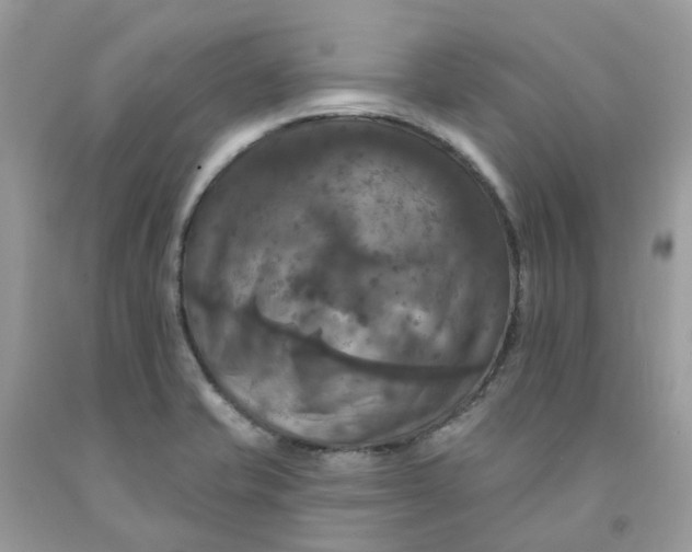 X0000091461421200709061747