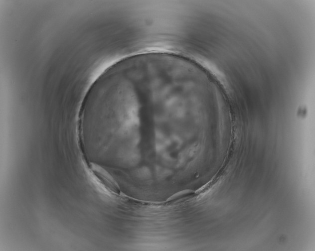 X0000091461423200709061747