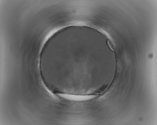 X0000091461424200709061747