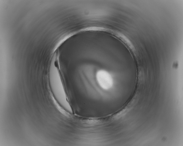 X0000091461425200709061747