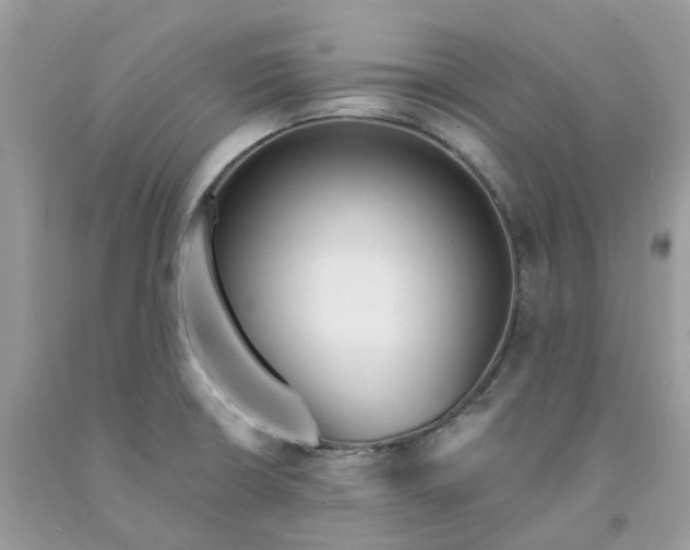 X0000091461426200709061747