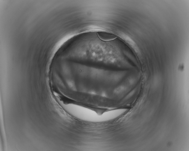 X0000091461427200709061747