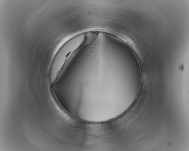 X0000091461428200709061747