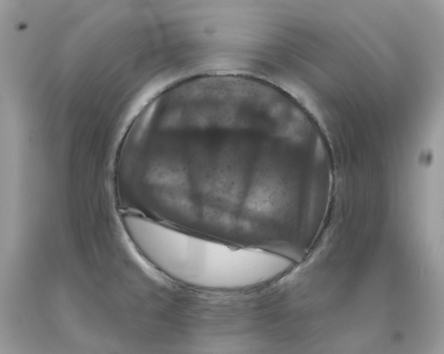 X0000091461429200709061747