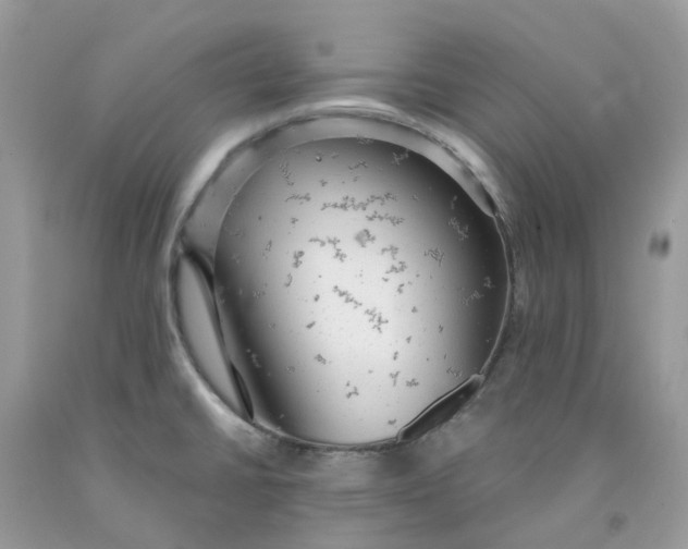 X0000091461430200709061747