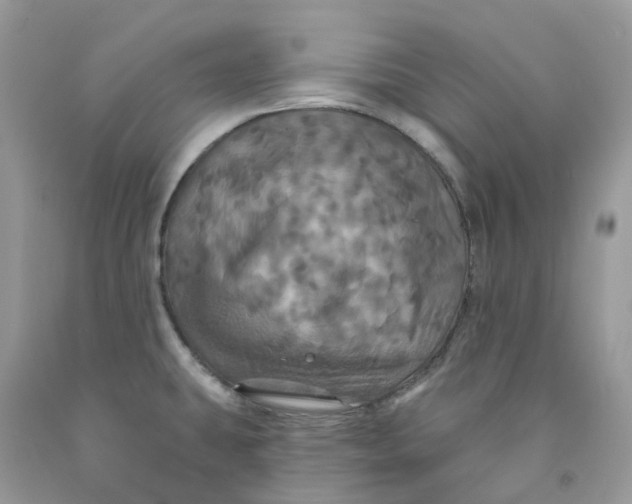 X0000091461431200709061747