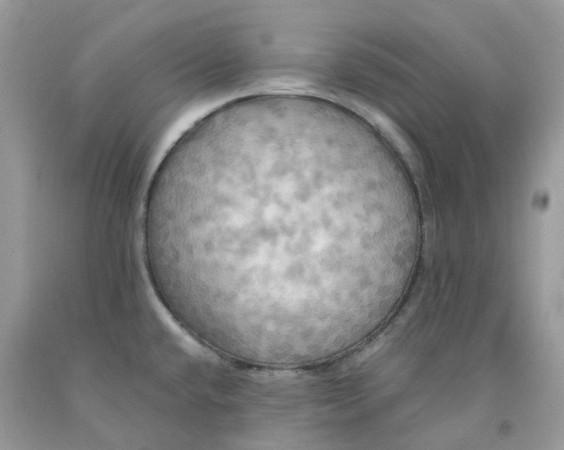 X0000091461432200709061747