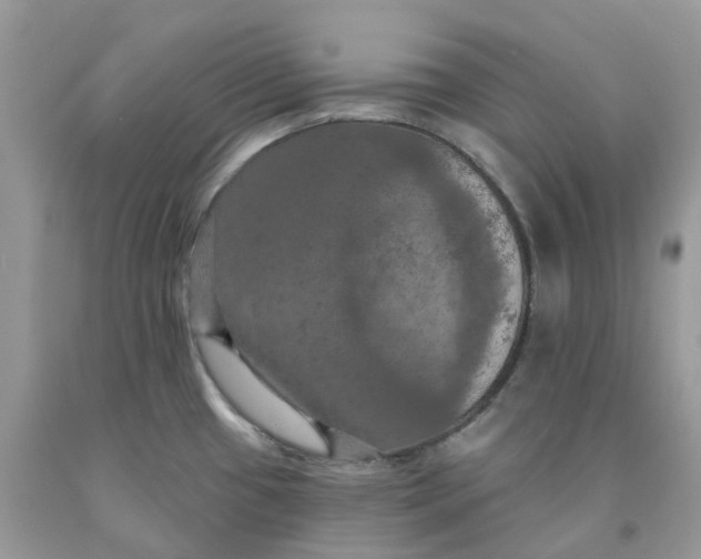 X0000091461433200709061747