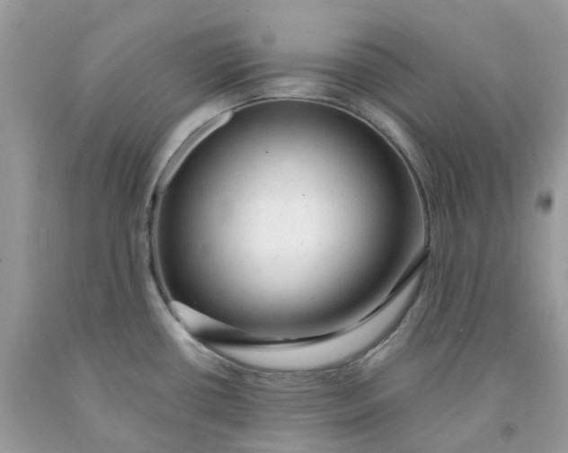 X0000091461434200709061747