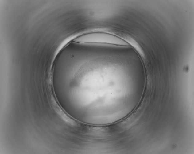 X0000091461436200709061747