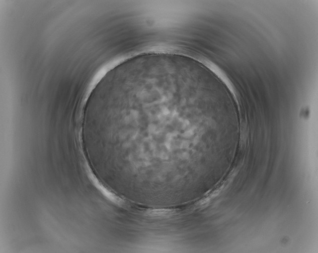 X0000091461437200709061747