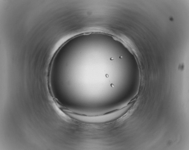 X0000091461438200709061747