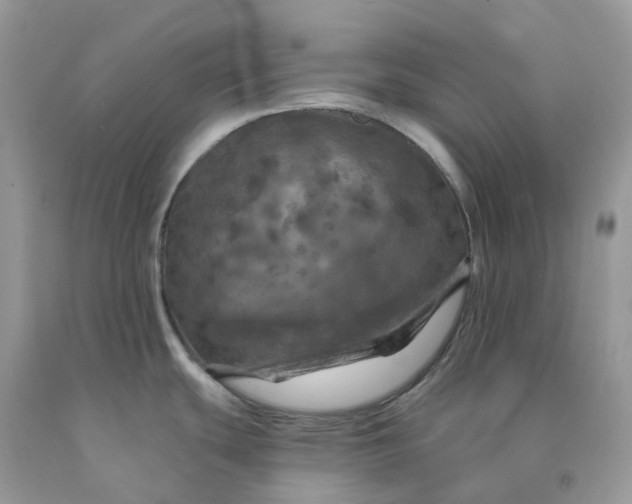 X0000091461439200709061747