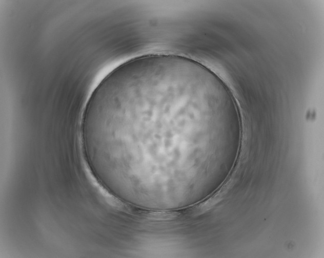 X0000091461440200709061747