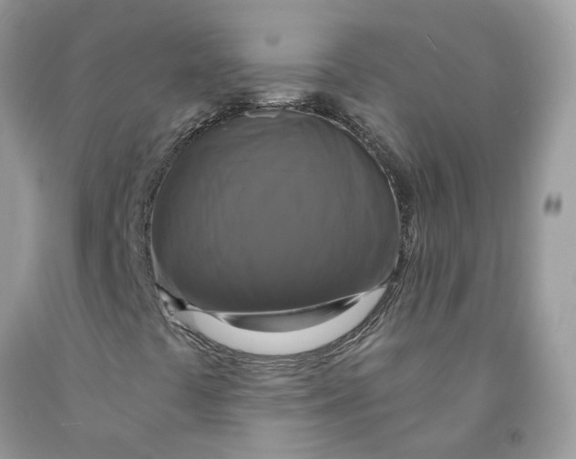 X0000091461441200709061746