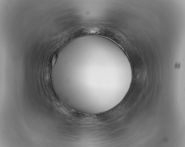 X0000091461442200709061746