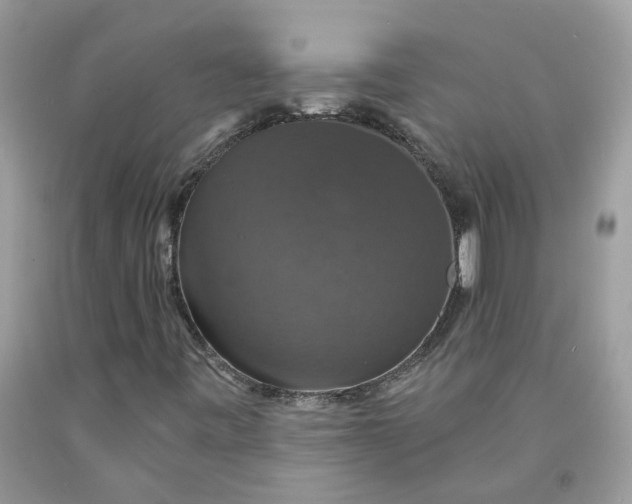 X0000091461443200709061746