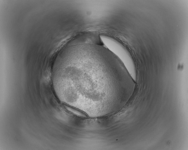 X0000091461444200709061746