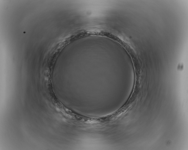 X0000091461445200709061746