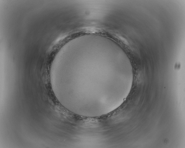 X0000091461446200709061746