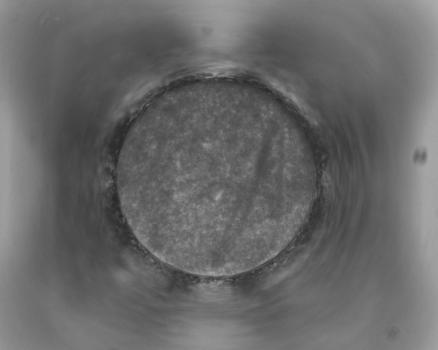 X0000091461447200709061746