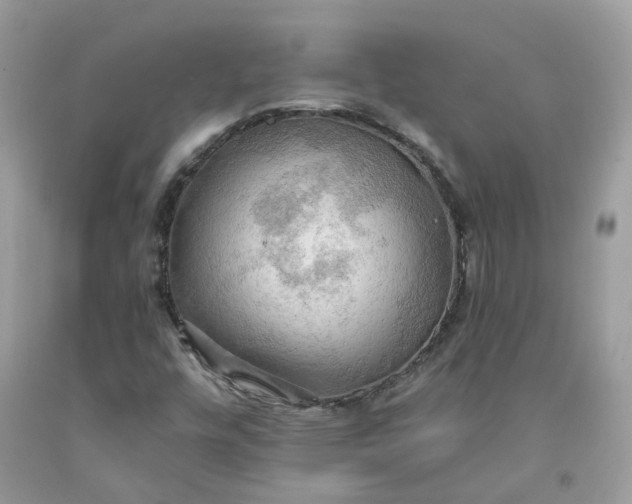 X0000091461448200709061746