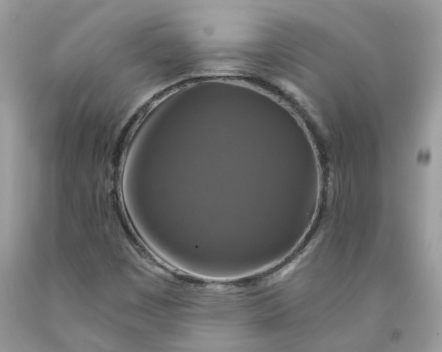 X0000091461449200709061746