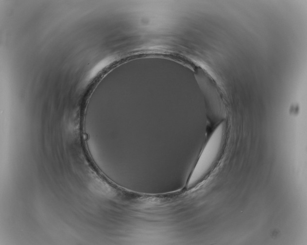 X0000091461450200709061746