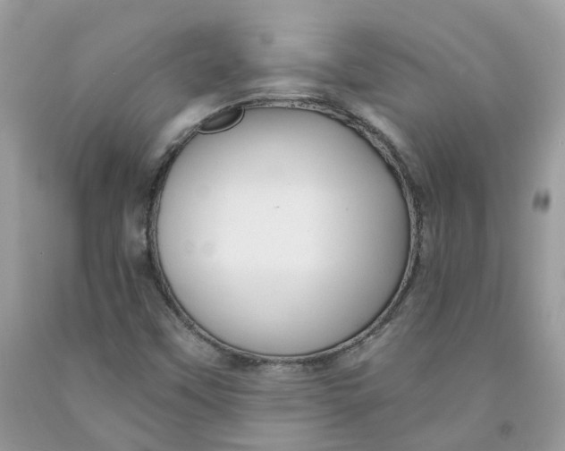 X0000091461451200709061746