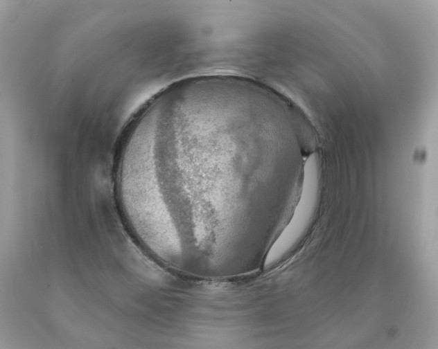 X0000091461452200709061746