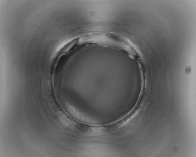 X0000091461453200709061746