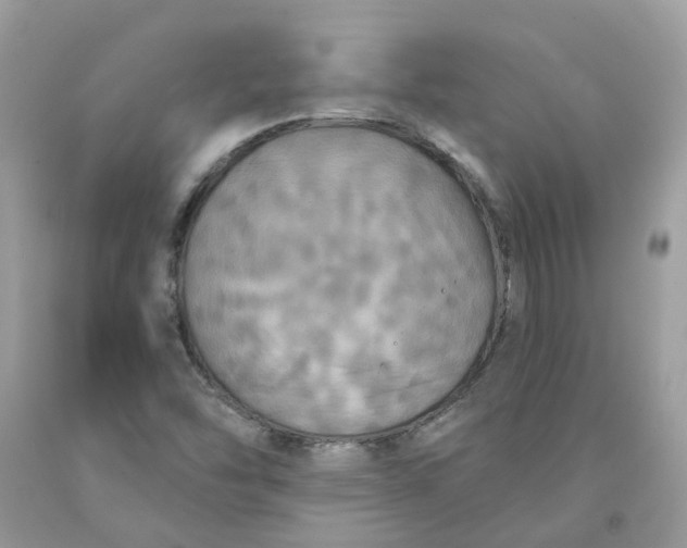 X0000091461454200709061746