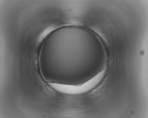 X0000091461455200709061746