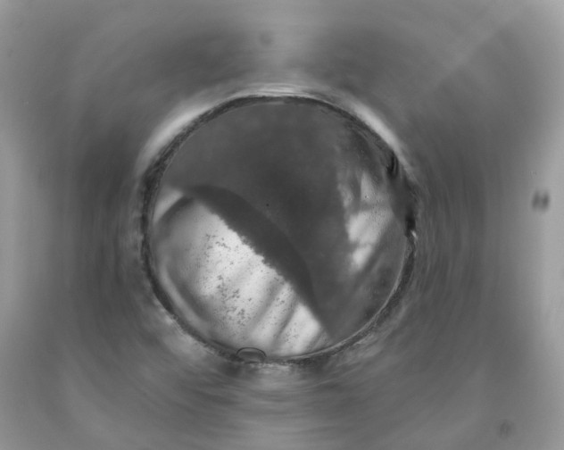 X0000091461456200709061746