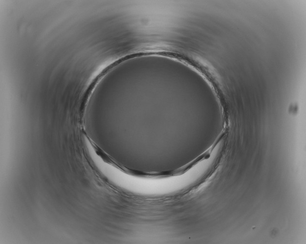 X0000091461457200709061746