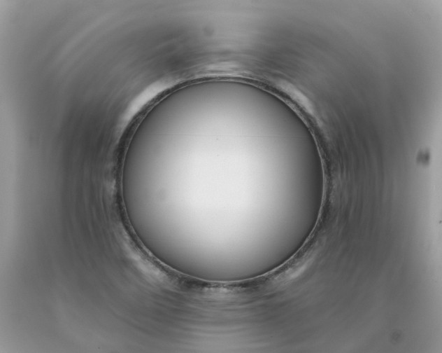 X0000091461458200709061746