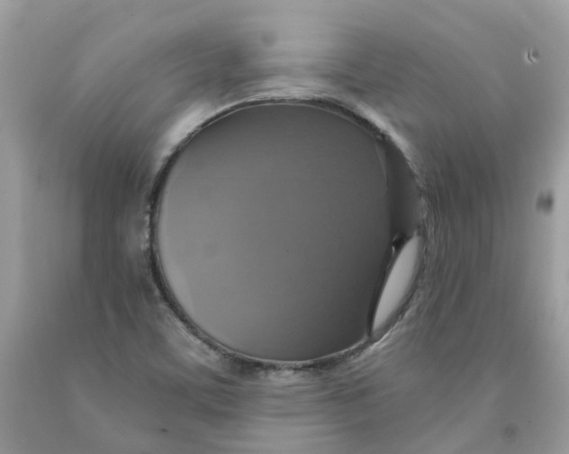 X0000091461459200709061746