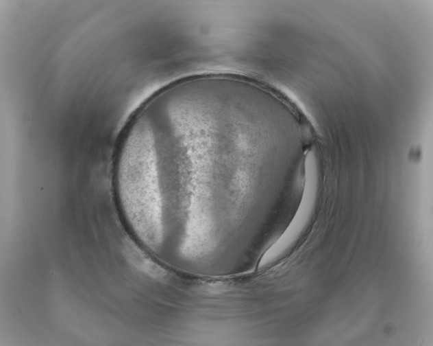 X0000091461460200709061746