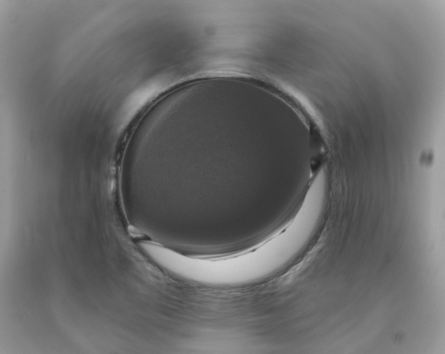 X0000091461461200709061746