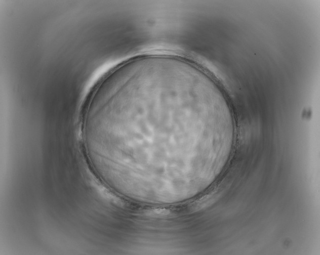 X0000091461462200709061746