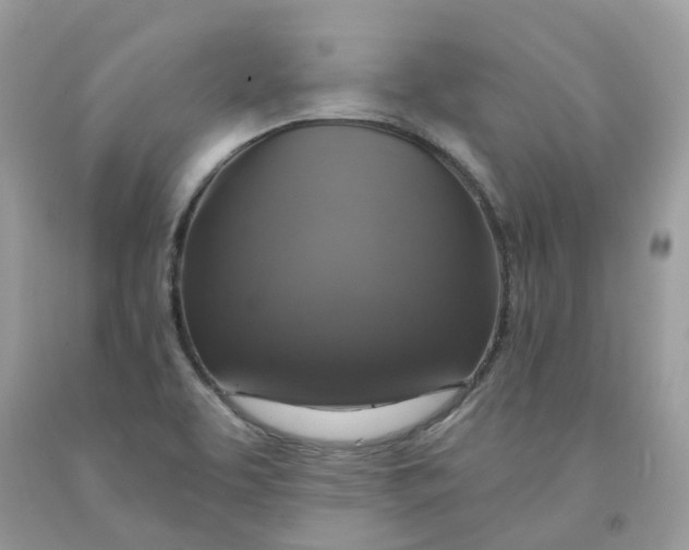 X0000091461463200709061746