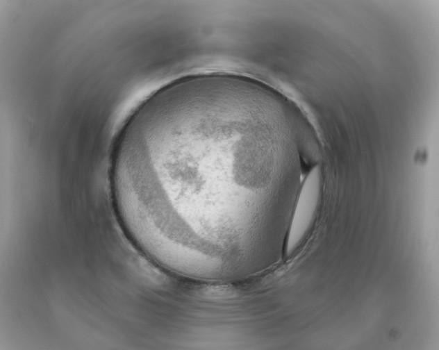 X0000091461464200709061746