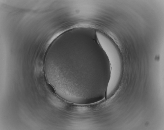 X0000091461465200709061746