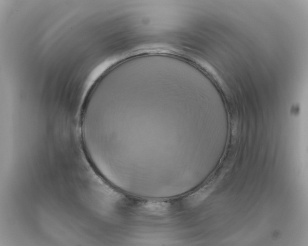 X0000091461466200709061746