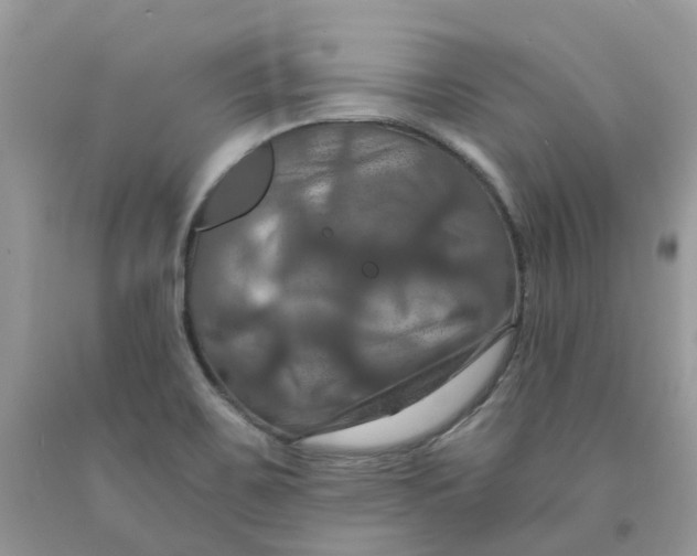 X0000091461467200709061746