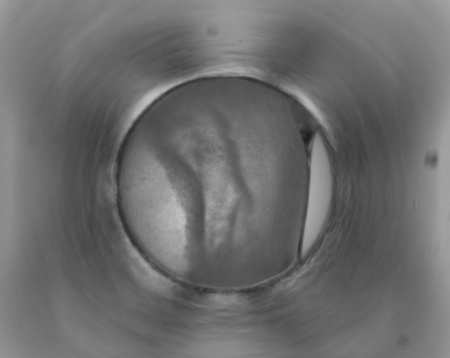 X0000091461468200709061746