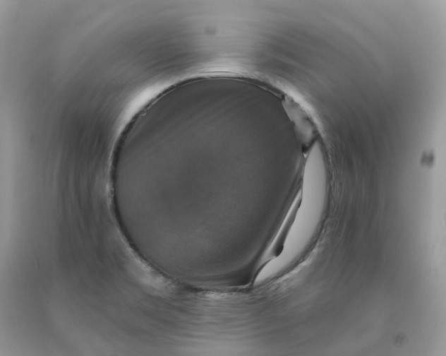 X0000091461469200709061746